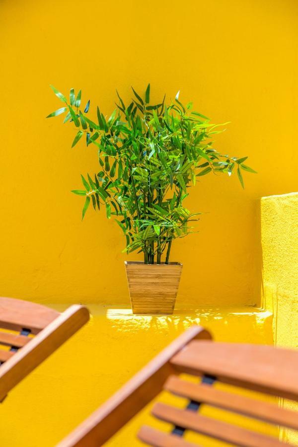 Alfama, Bright And Spacious With Private Terrace, By Timecooler Lisboa 外观 照片